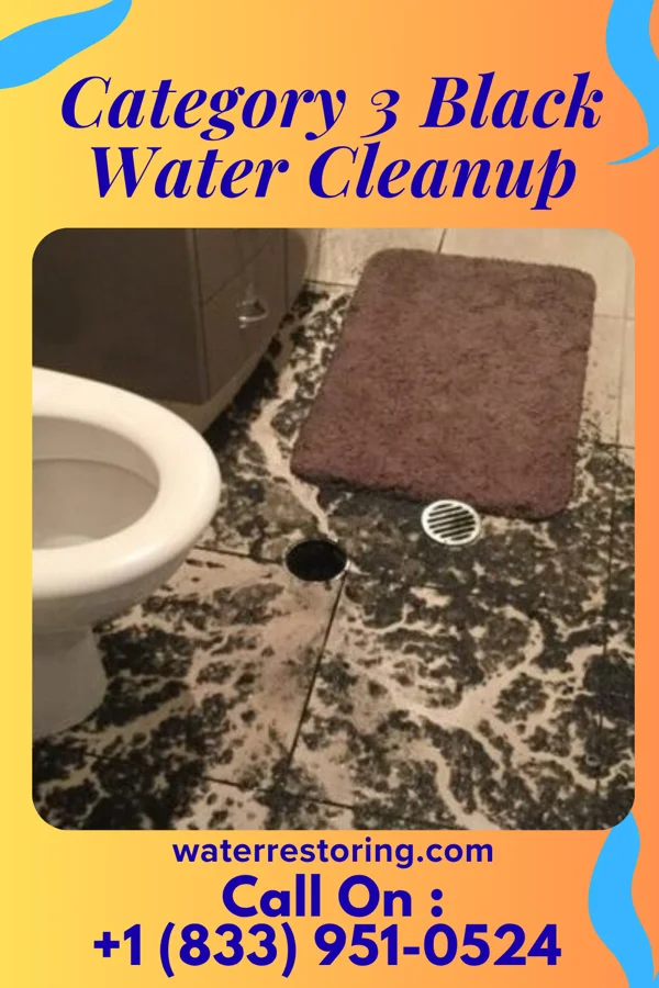 Category 3 Black Water Cleanup in Alexandria, LA