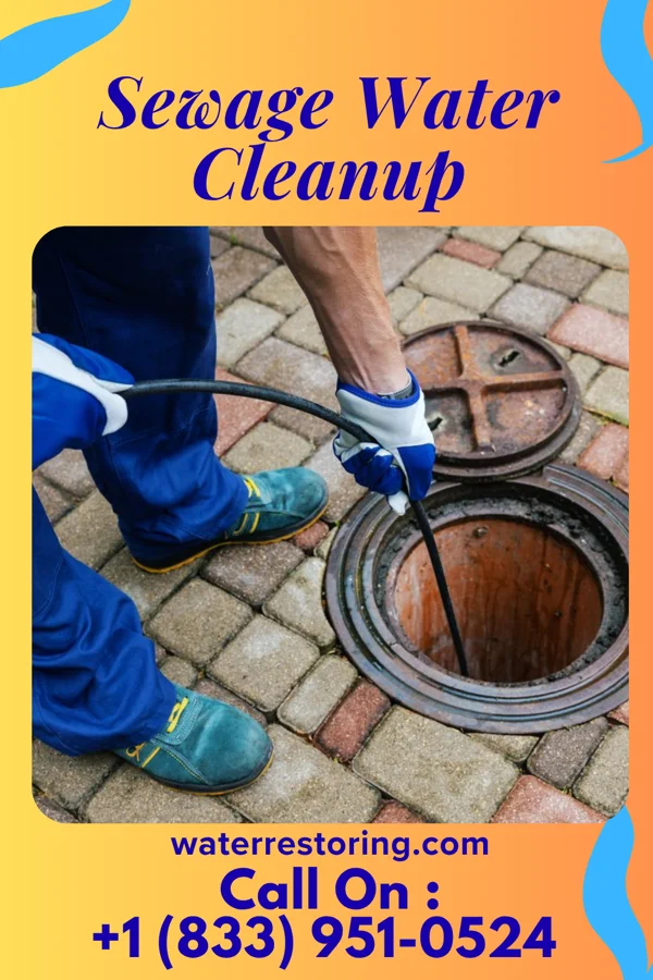 Sewage Water Cleanup in Alexandria, LA
